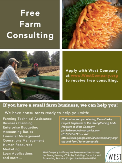 Consulting Flier